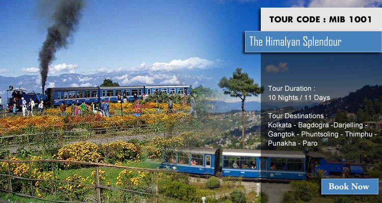 The Himalayan Splendour Tour Packages